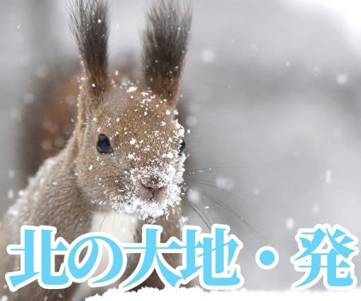 北の大地・発